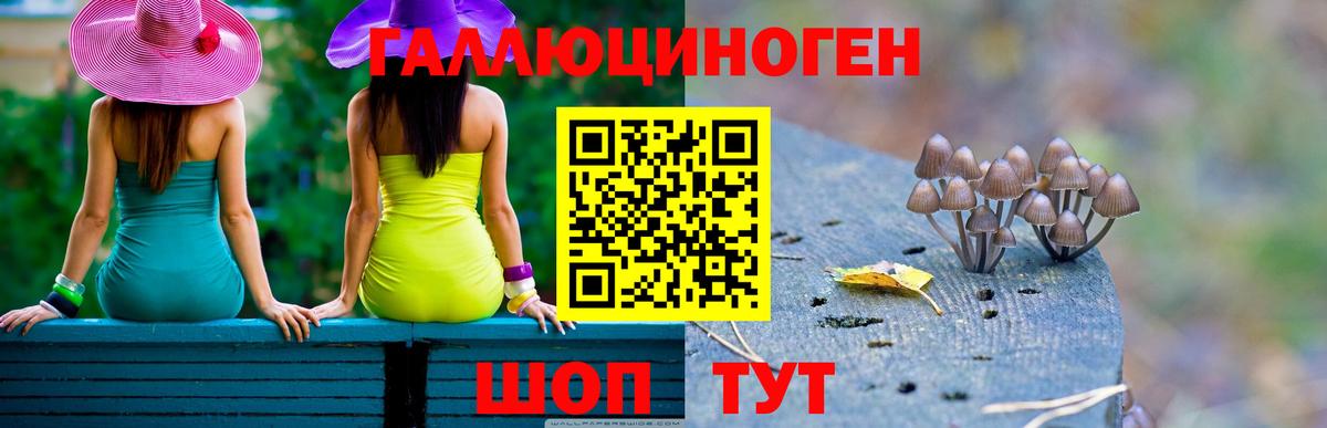 Галлюциногенные грибы MAGIC MUSHROOMS Протвино